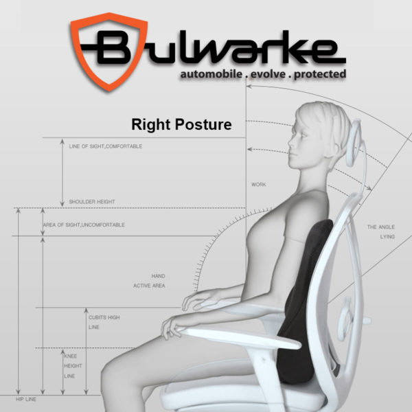 Ergonomic Car Neck and Lumbar Support - Image 15